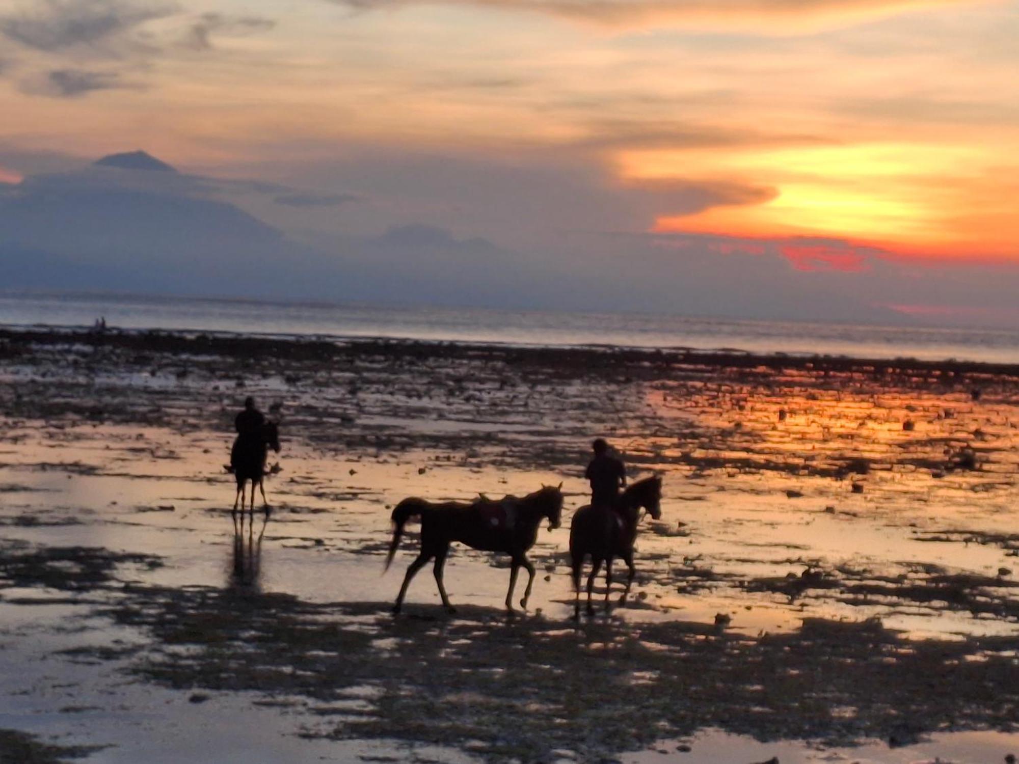 Masya Cottages Gili Trawangan Eksteriør bilde